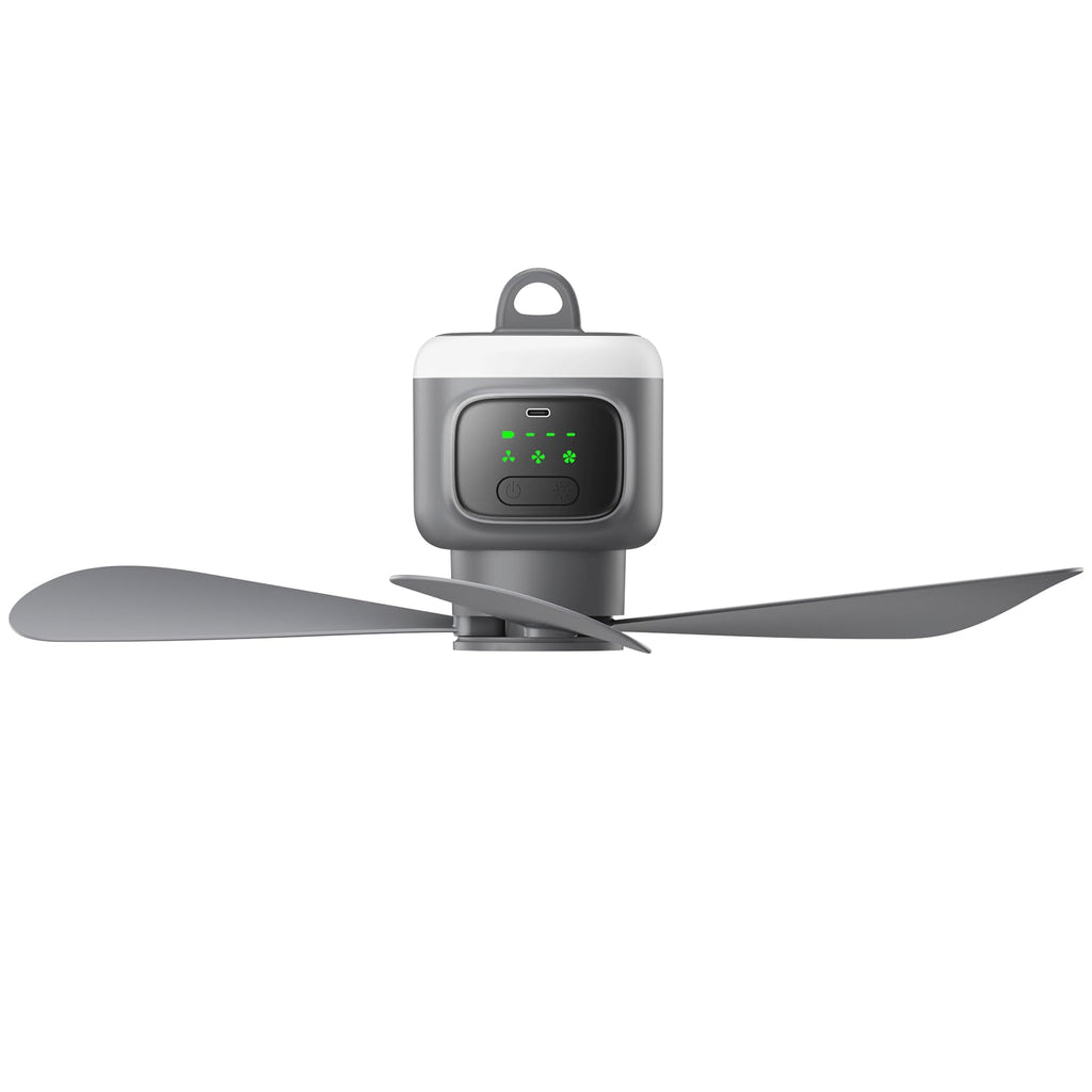 Portable Ceiling Fan with Light V5467