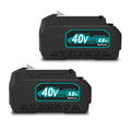 40V Lithium-Ion Battery Pack 2-Pack N4793