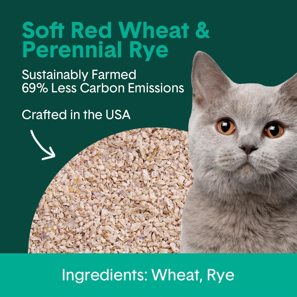 Plant-Based Clumping Cat Litter B332878