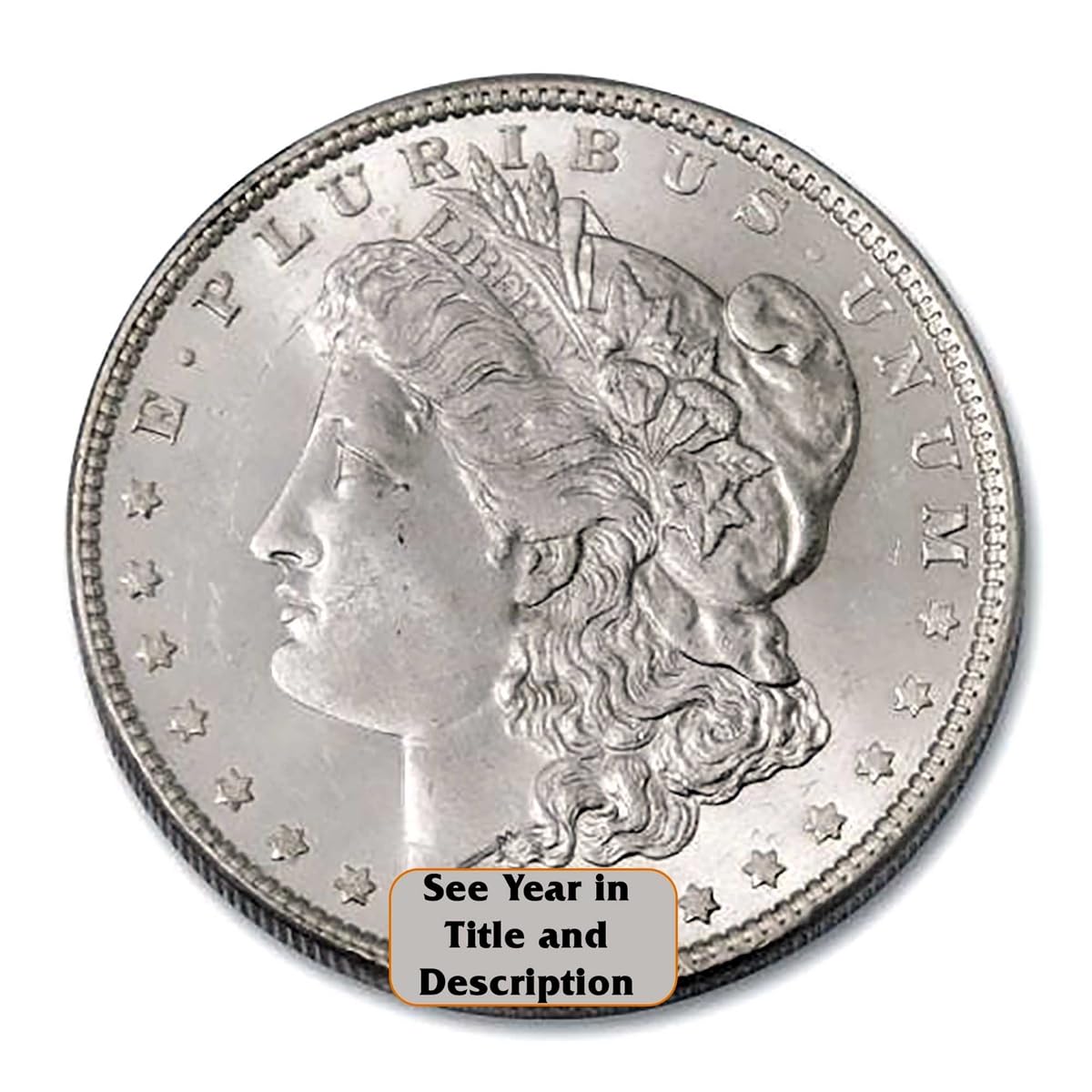 Morgan Silver Dollar F2336