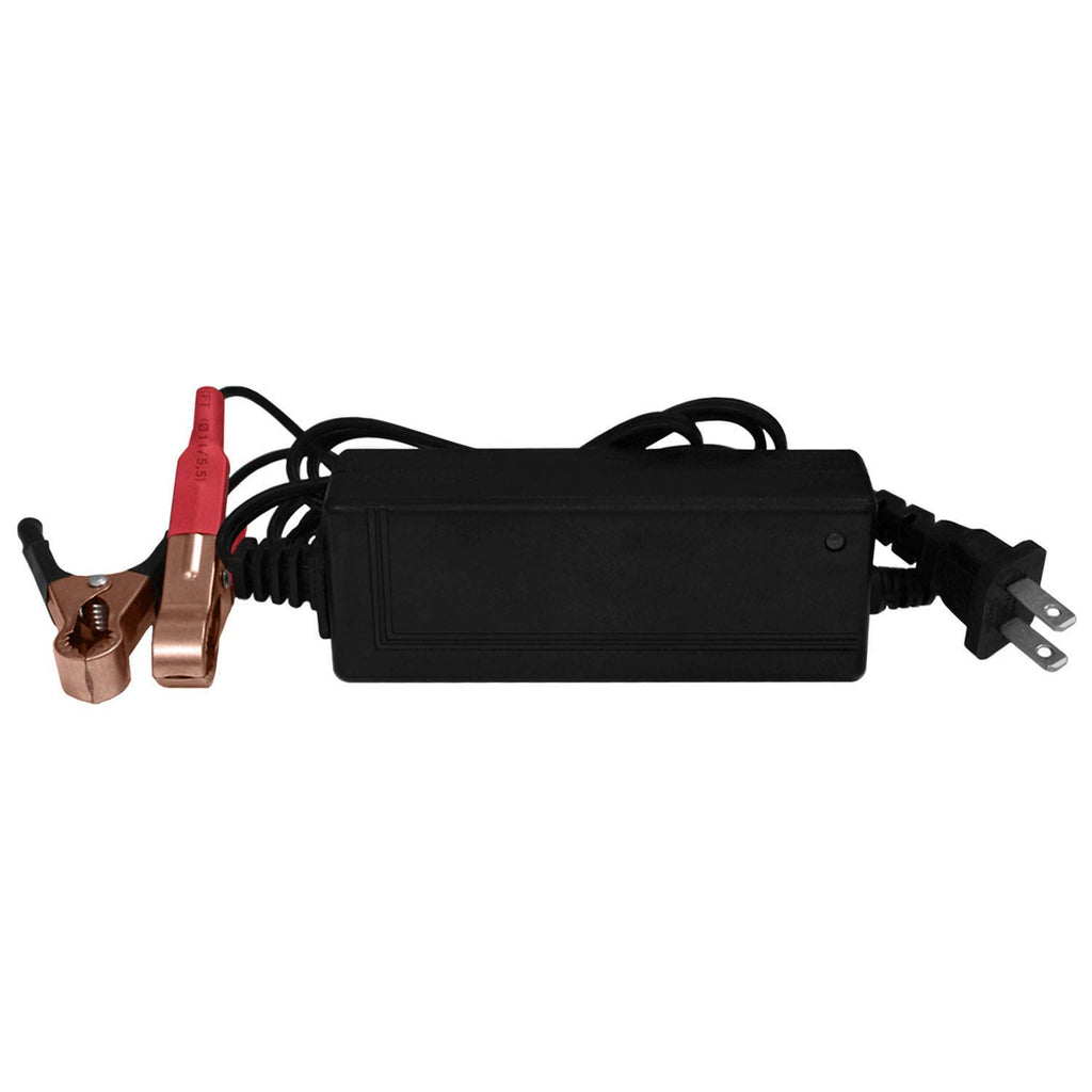 12V Battery with Charger I248286