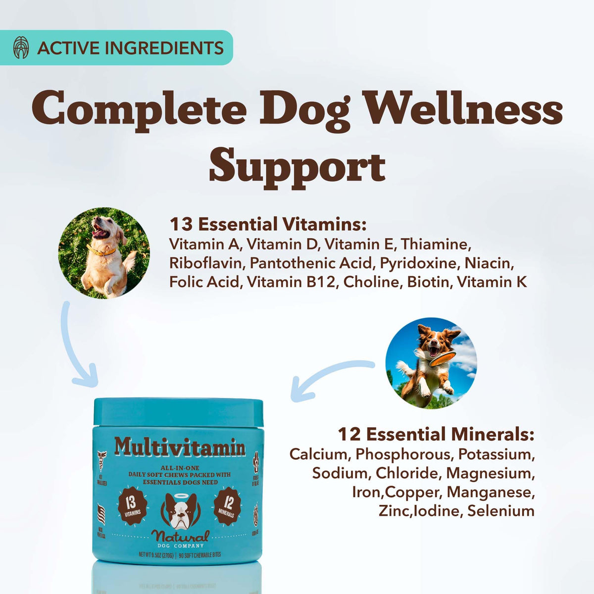 25-in-1 Multivitamin for Dogs 180 Count D7241