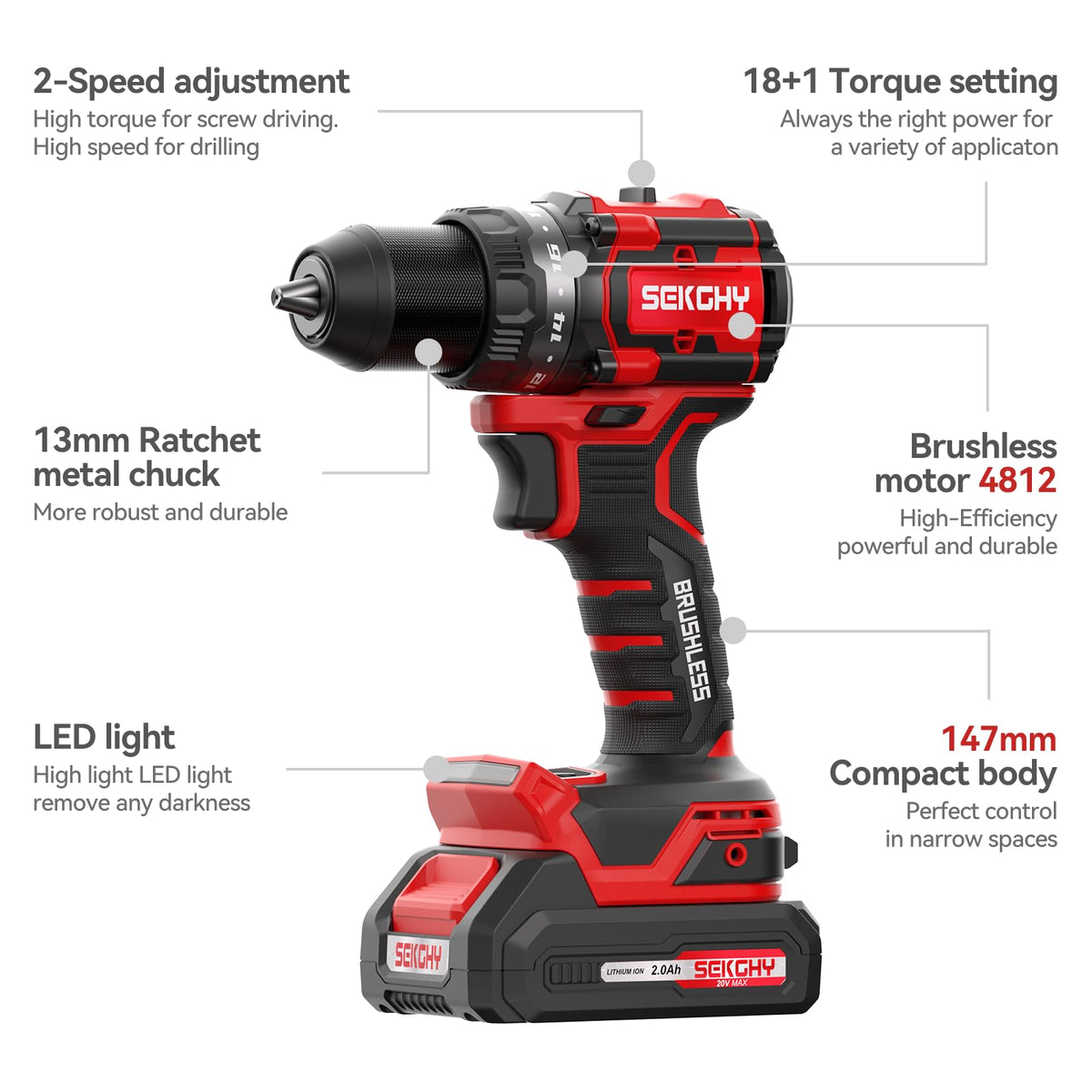 20V Cordless Drill Driver Kit with 2 Batteries P993654