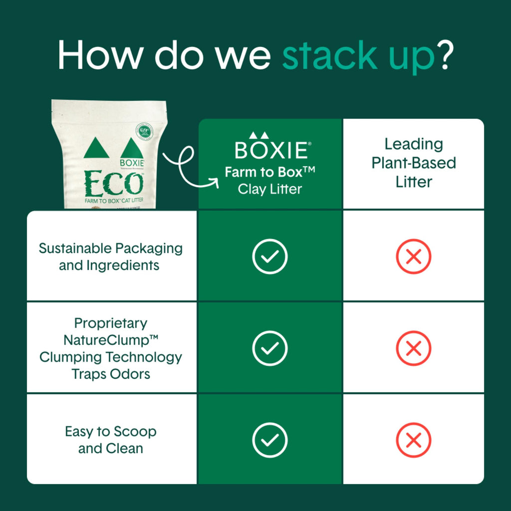 Plant-Based Clumping Cat Litter B332878