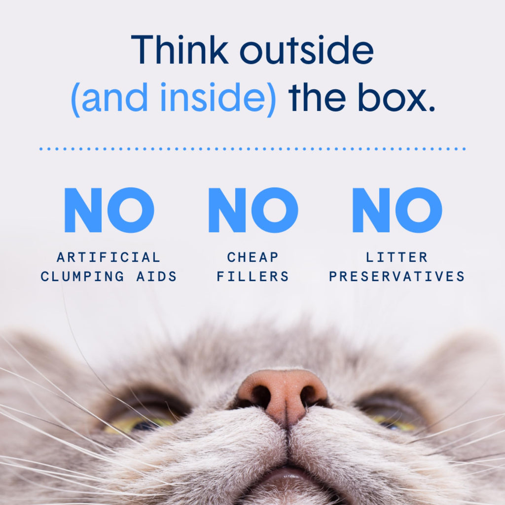 Plant-Based Clumping Cat Litter B332878