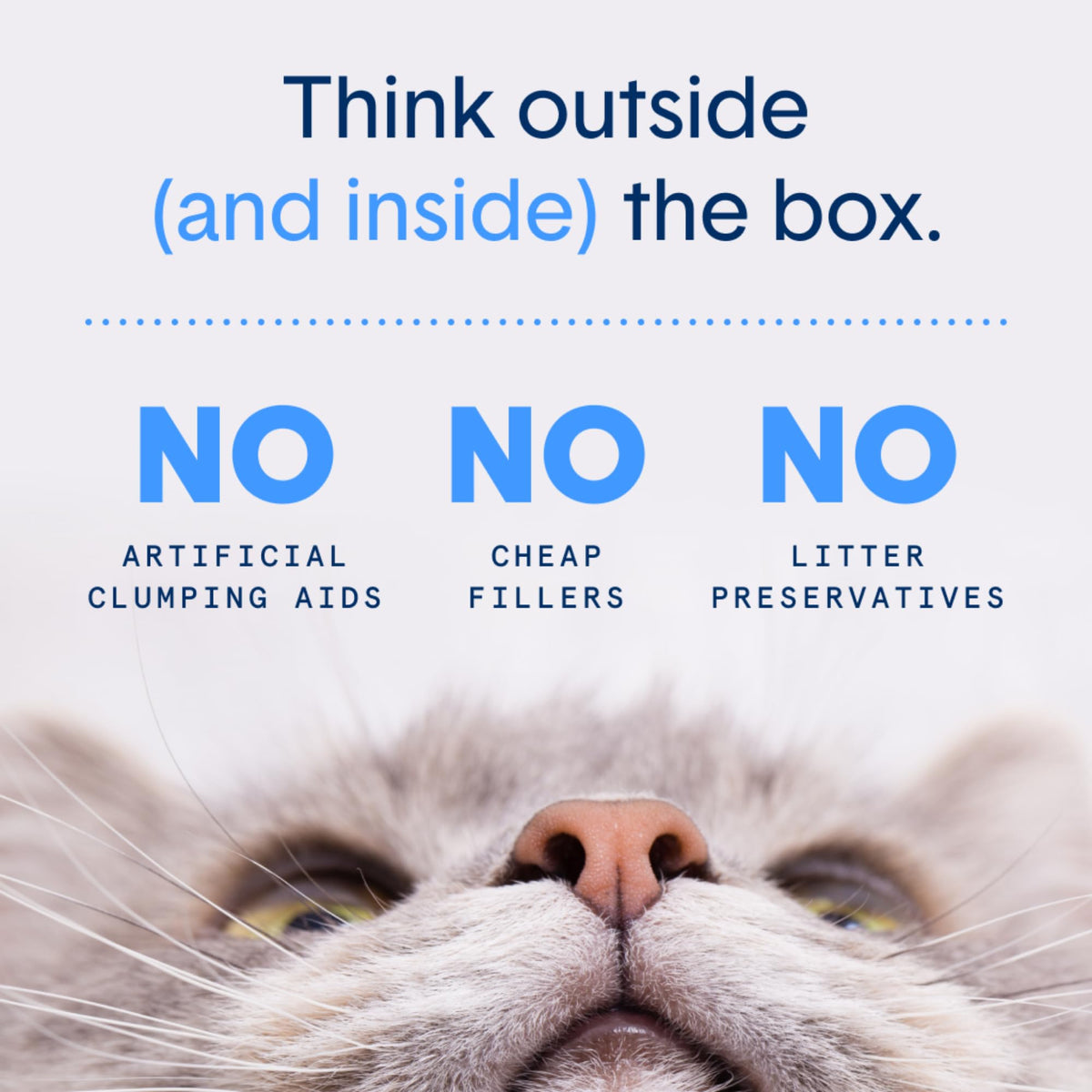 Plant-Based Clumping Cat Litter B332878
