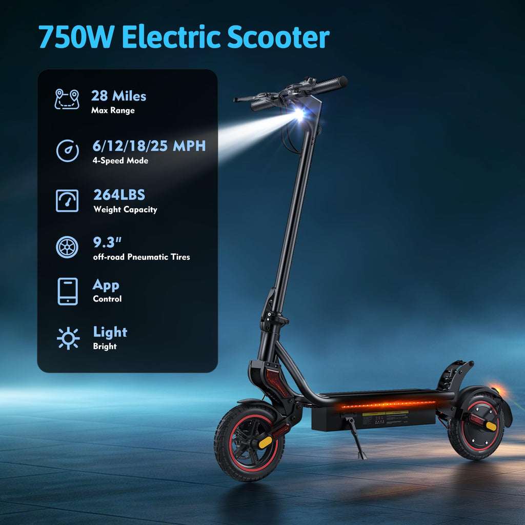 500W Electric Scooter with 10" Tires U6502