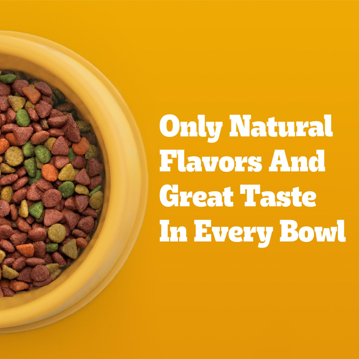 Dry Dog Food 14 lb S57728
