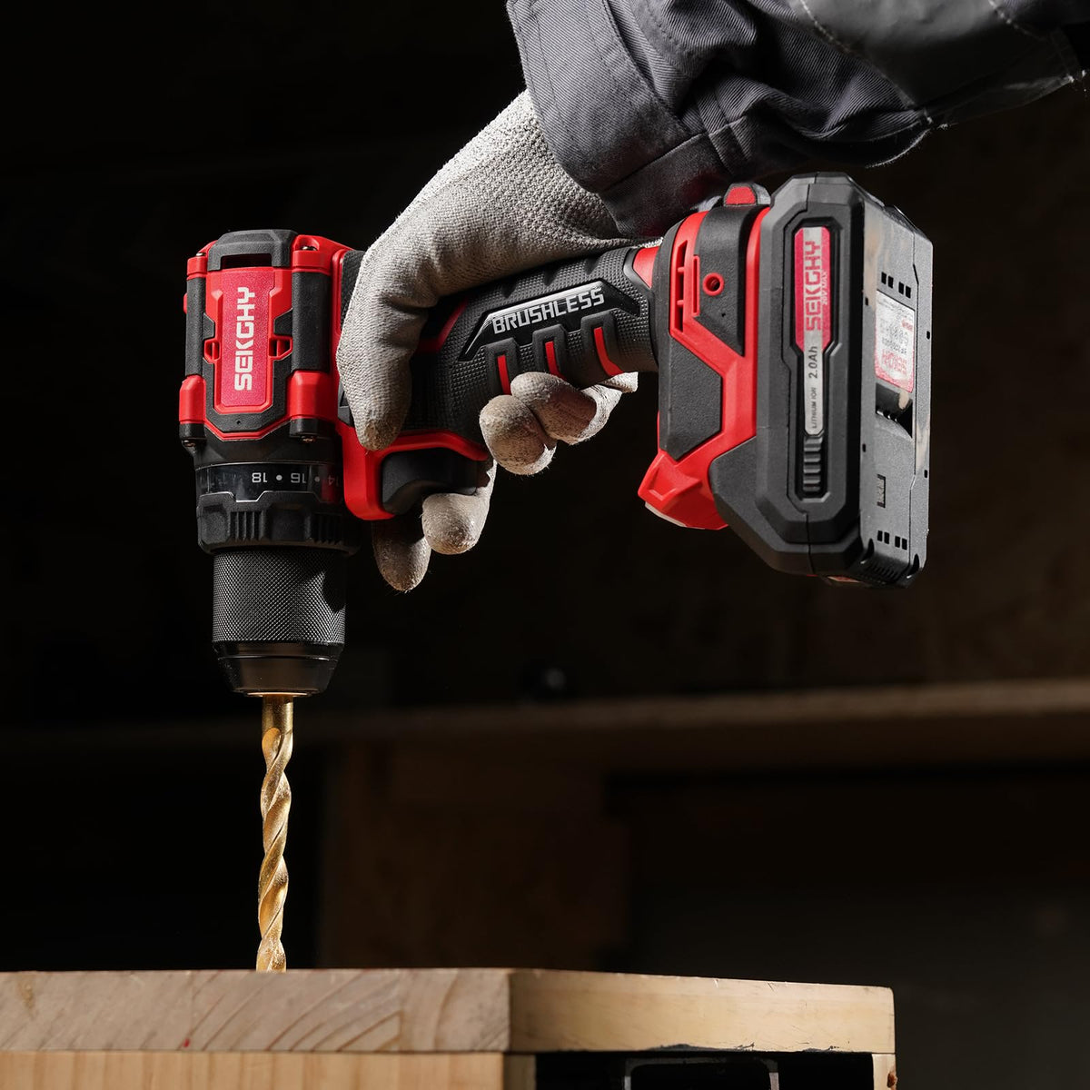 20V Cordless Drill Driver Kit with 2 Batteries P993654