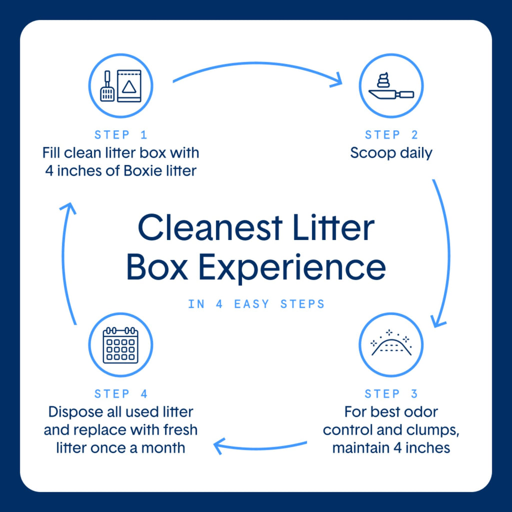 Plant-Based Clumping Cat Litter B332878