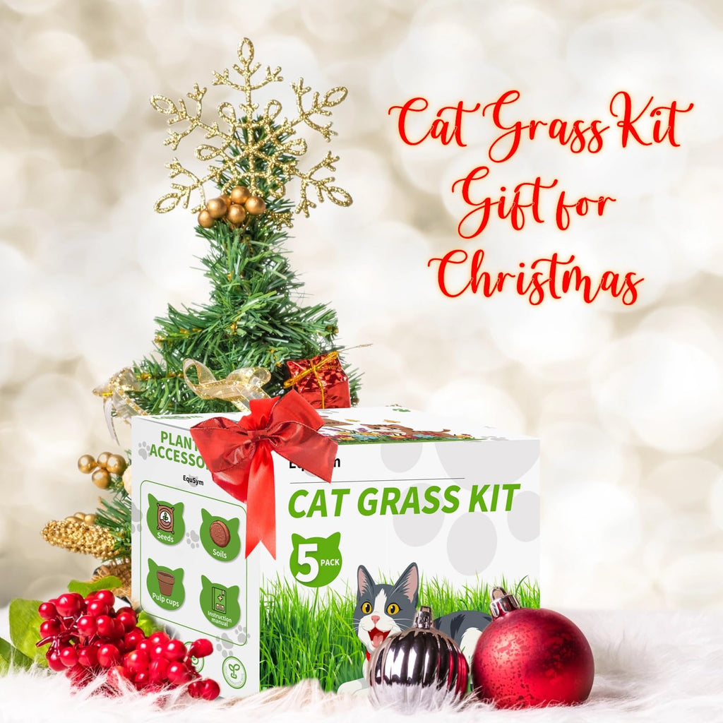 Cat Grass Growing Kit O715