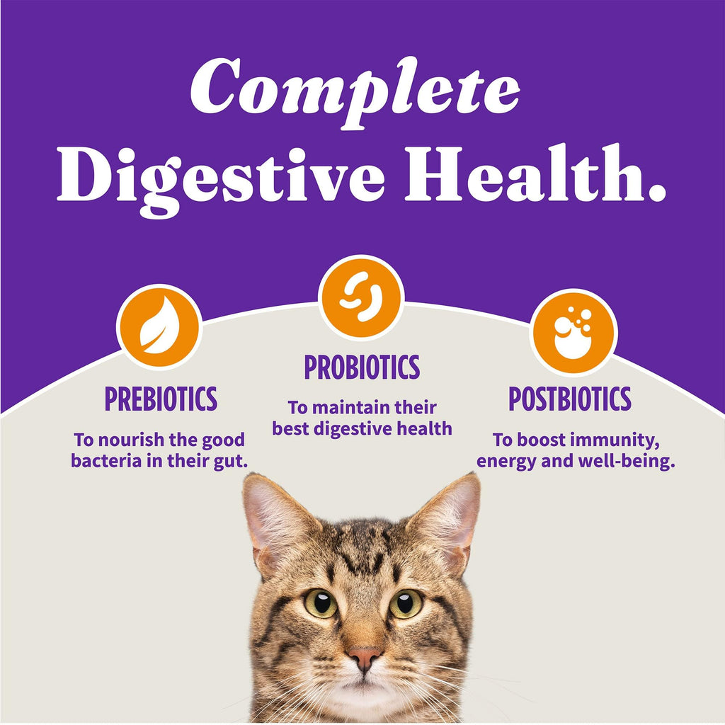 Indoor Dry Cat Food Cage-Free Chicken 3 lb Y25473