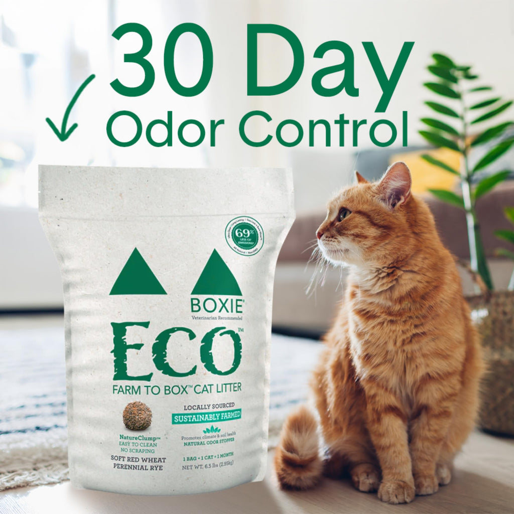 Plant-Based Clumping Cat Litter B332878