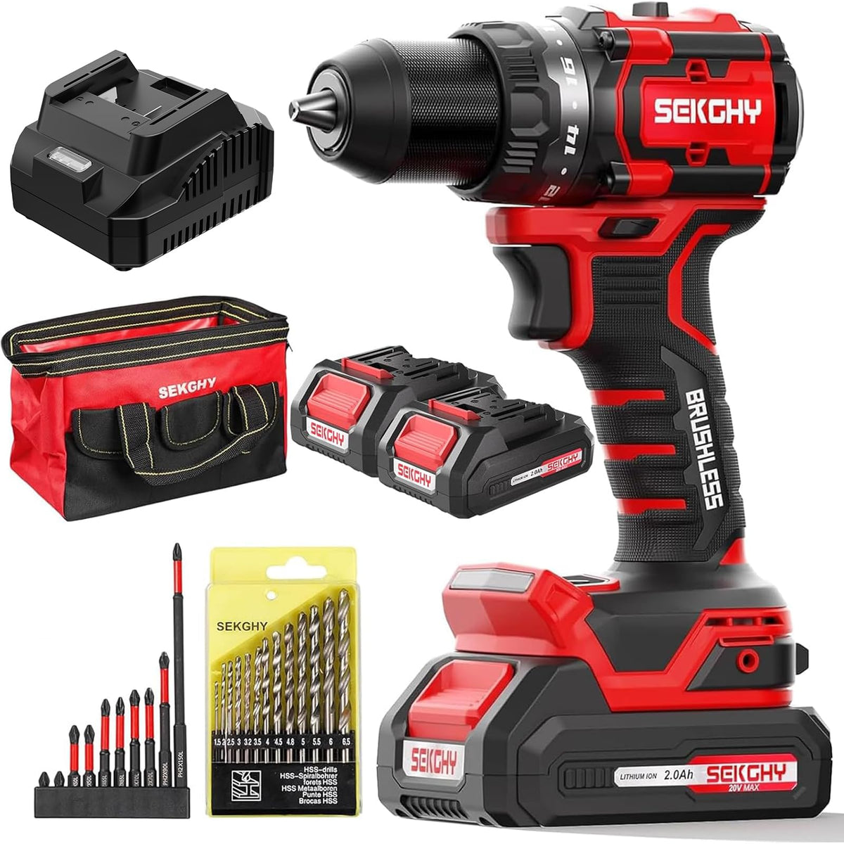 20V Cordless Drill Driver Kit with 2 Batteries P993654