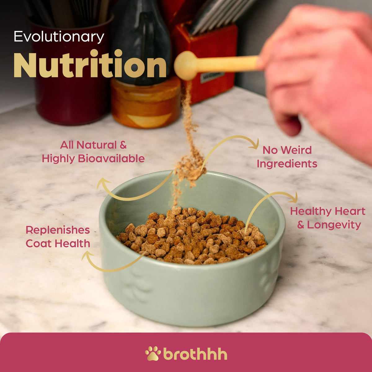 Beef Organ Bone Broth Meal Topper for Dogs C901