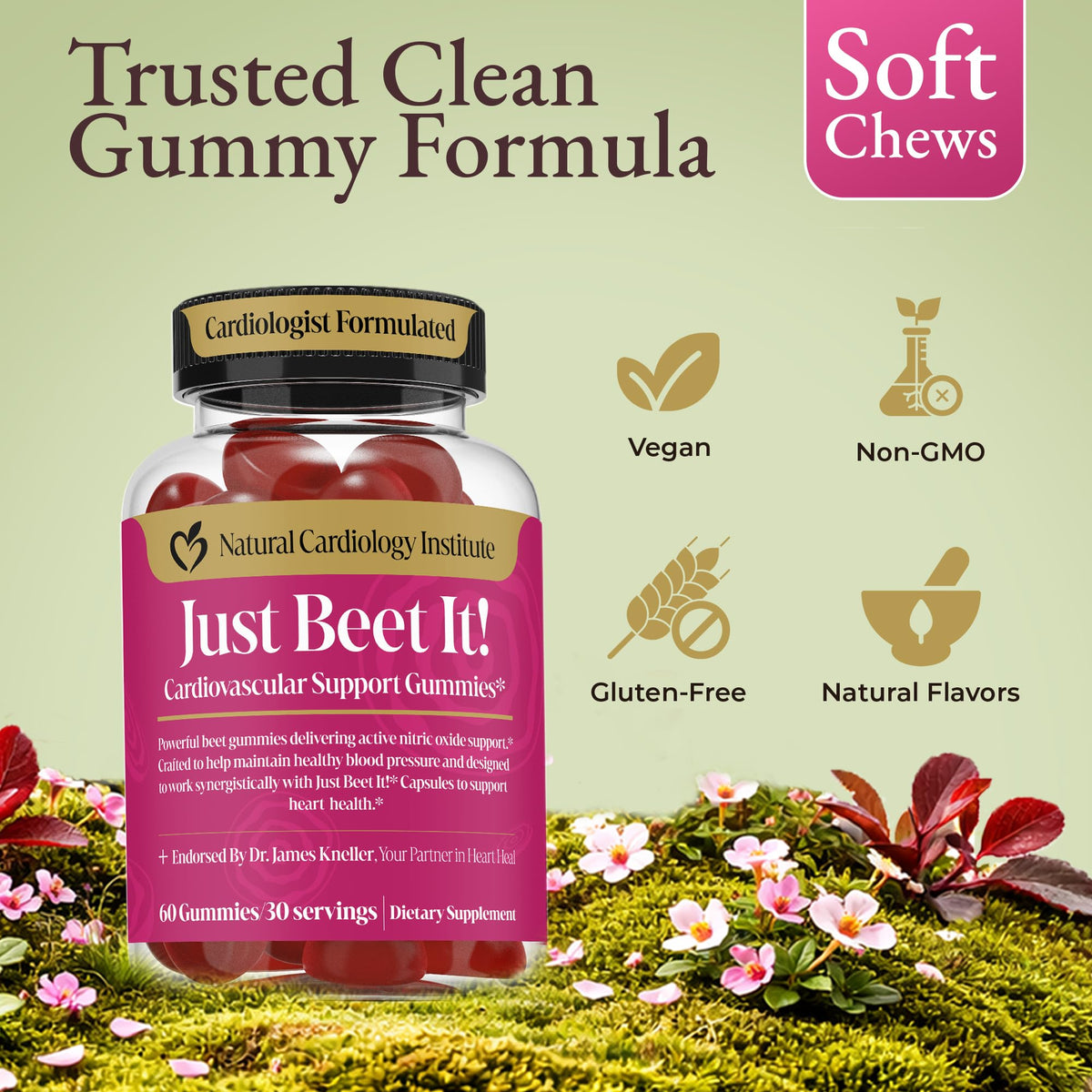 Beet Root Gummies & CoQ10 N653818