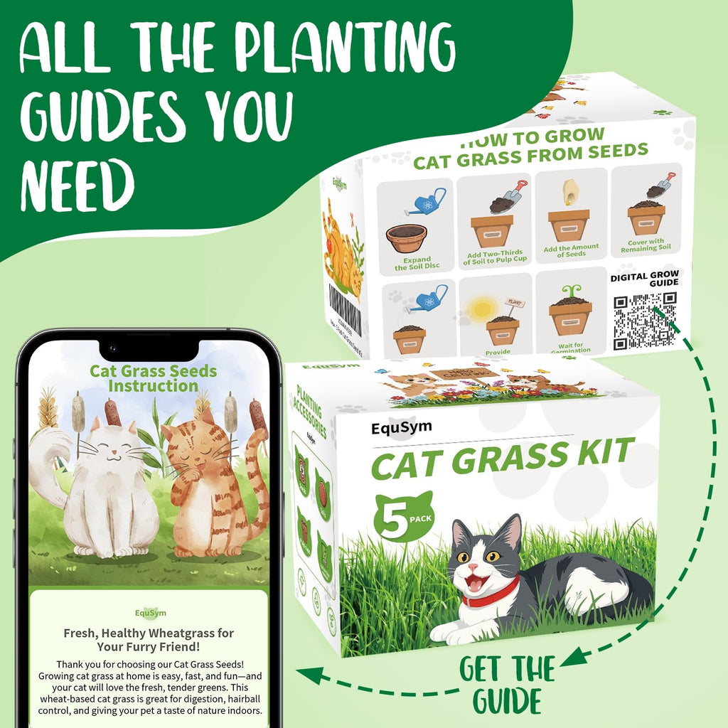 Cat Grass Growing Kit O715