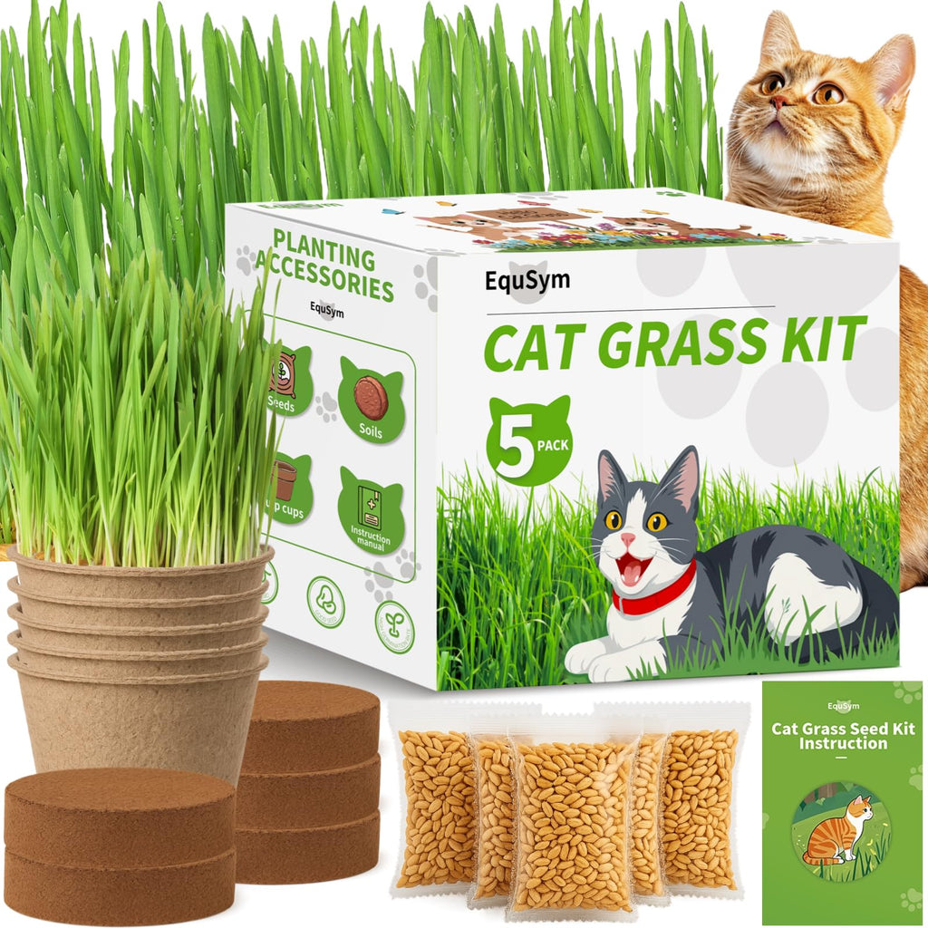 Cat Grass Growing Kit O715
