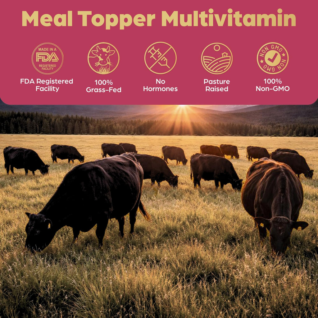 Beef Organ Bone Broth Meal Topper for Dogs C901