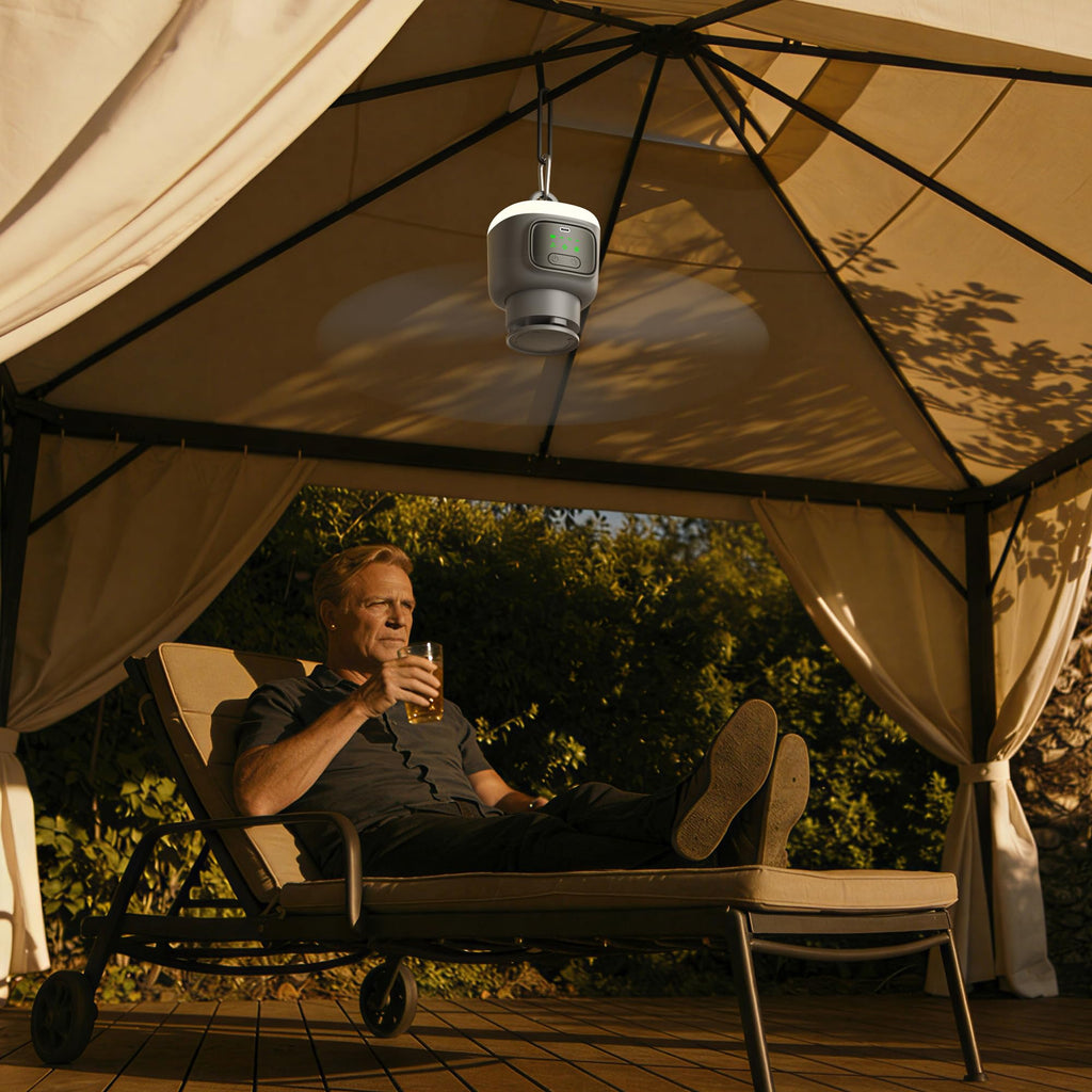 Portable Ceiling Fan with Light V5467