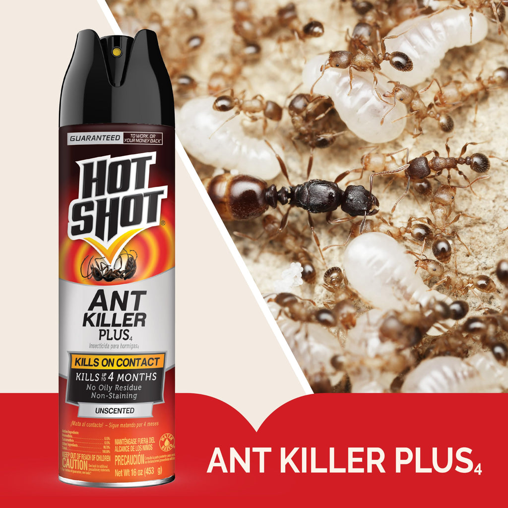 Ant Killer Plus Aerosol 16 Oz Unscented B299550