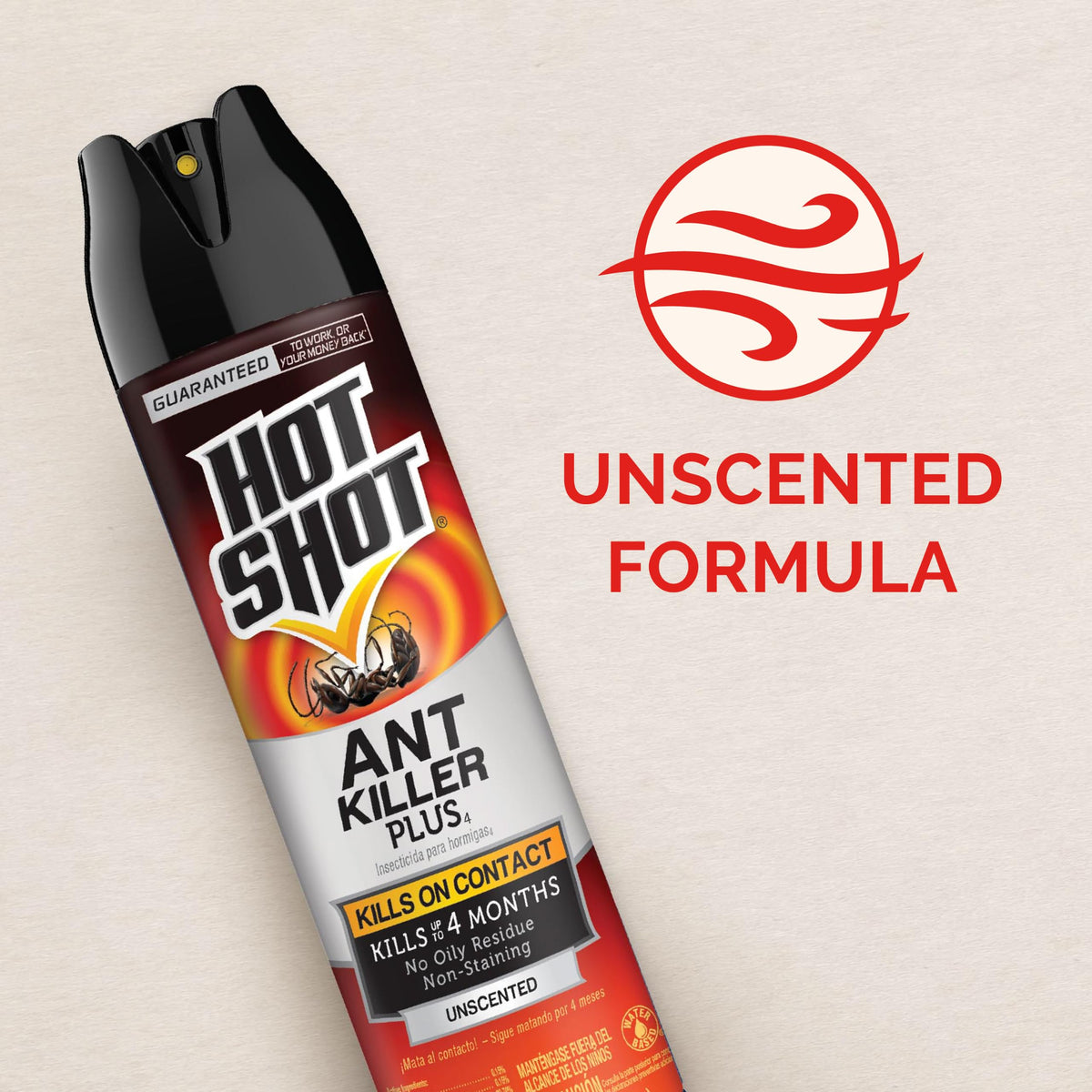 Ant Killer Plus Aerosol 16 Oz Unscented B299550
