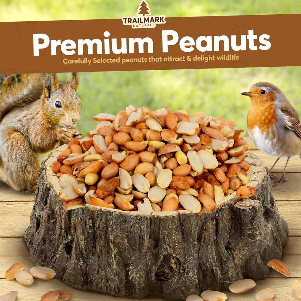 Raw Shelled Peanuts C54951
