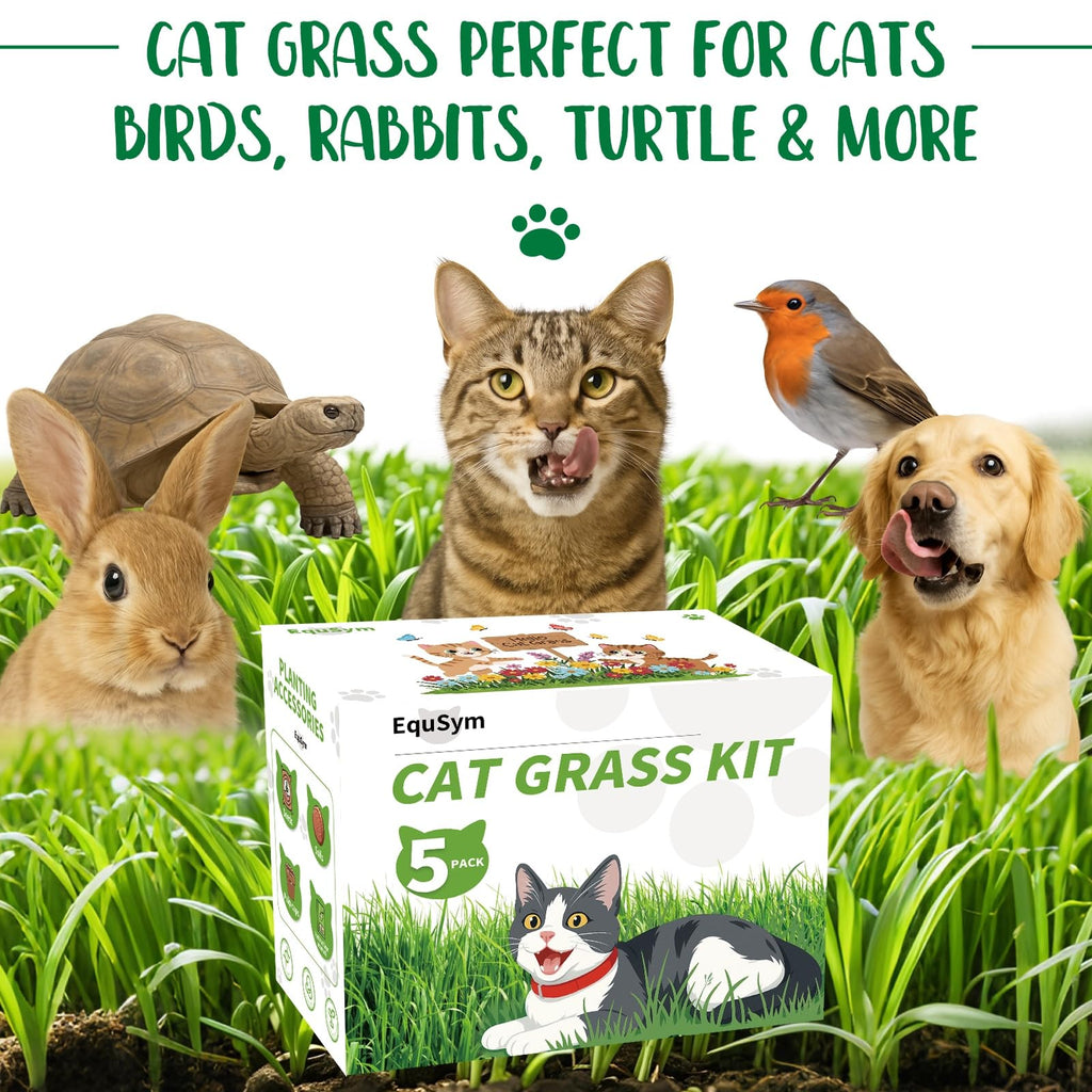 Cat Grass Growing Kit O715