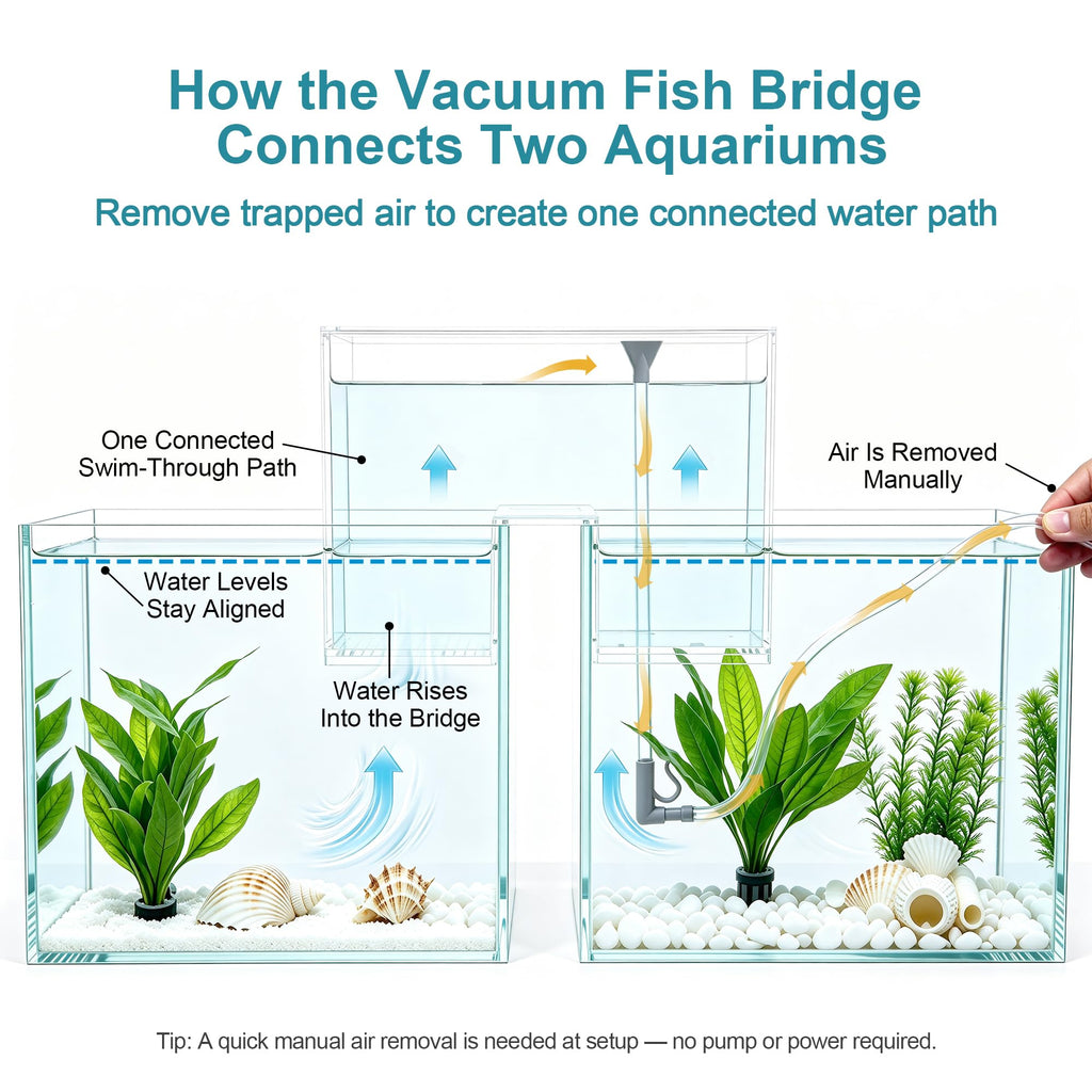 Aquarium Bridge Fish Tank Kit J440