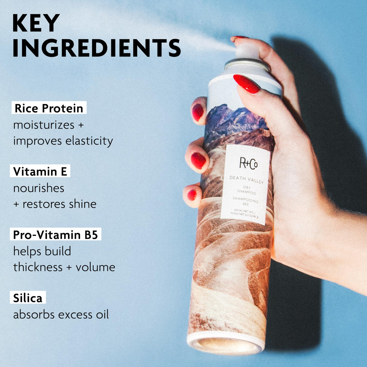 Dry Shampoo S362285