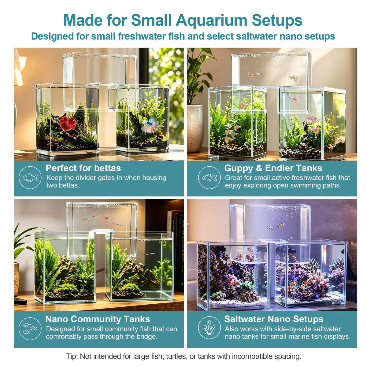 Aquarium Bridge Fish Tank Kit J440