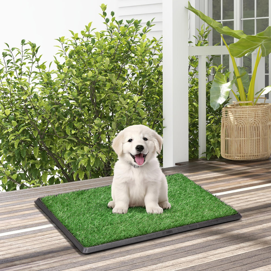 25" x 20" Reusable Indoor Dog Potty with Tray and 2 Artificial Grass Pads D132184